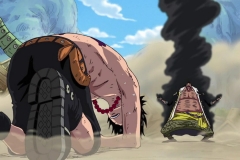 One Piece 457 HD RAW (1280x720 x264 AAC) 014 (2)