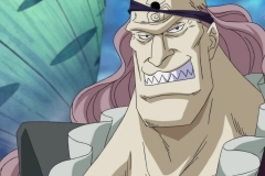 One Piece 467 HD RAW (1280x720 x264 AAC) 003 (1)