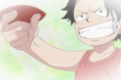 One Piece 467 HD RAW (1280x720 x264 AAC) 003 (2)