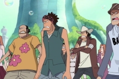 One Piece 471 HD RAW (1280x720 x264 AAC) (2)