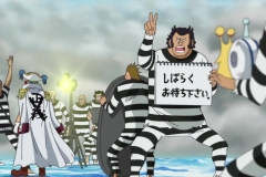 One Piece 471 HD RAW (1280x720 x264 AAC) (2)