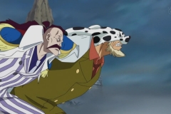 [PD-Raws] One Piece - 479 [CX 1280x720 x264 AAC] (2)