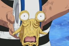 [PD-Raws] One Piece - 479 [CX 1280x720 x264 AAC] (2)