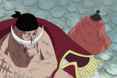 [PD-Raws] One Piece - 479 [CX 1280x720 x264 AAC] (2)