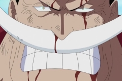 [Shiniori-Raws] One Piece 481 HD RAW (1920x1080 x264 AAC)~1 (1)