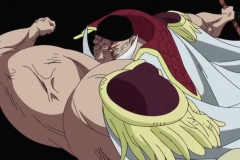 [Shiniori-Raws] One Piece 481 HD RAW (1920x1080 x264 AAC)~1 (1)