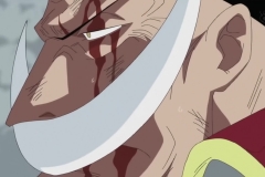 [Shiniori-Raws] One Piece 481 HD RAW (1920x1080 x264 AAC)~1 (2)