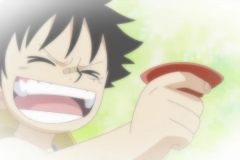 [Shiniori-Raws] One Piece 484 HD RAW (1280x720 x264 AC3 192 kbps).avi (1)