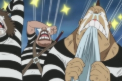 [Shiniori-Raws] One Piece 487 HD RAW (1280x720 x264 AC3 192 kbps) (1)