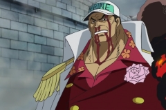 [Shiniori-Raws] One Piece 488 HD RAW (1280x720 x264 AC3 192 kbps) (1)