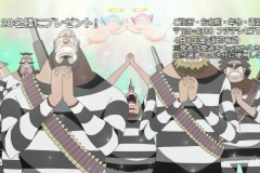 [Shiniori-Raws] One Piece 489 HD RAW (1280x720 x264 AAC) (2)