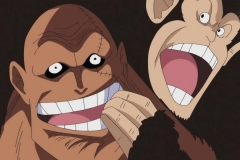 [Shiniori-Raws] One Piece 489 HD RAW (1280x720 x264 AAC) (2)