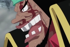 [Shiniori-Raws] One Piece 489 HD RAW (1280x720 x264 AAC) (2)