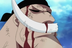 [Shiniori-Raws] One Piece 489 HD RAW (1280x720 x264 AAC) (1)