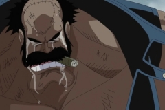 [Shiniori-Raws] One Piece 489 HD RAW (1280x720 x264 AAC) (1)