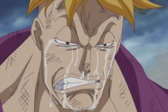 [Shiniori-Raws] One Piece 489 HD RAW (1280x720 x264 AAC) (1)