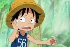 [Shiniori-Raws] One Piece 493 HD RAW (1280x720 x264 AC3) (1)