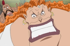 [Shiniori-Raws] One Piece 493 HD RAW (1280x720 x264 AC3) (1)