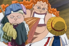 [Shiniori-Raws] One Piece 493 HD RAW (1280x720 x264 AC3) (1)