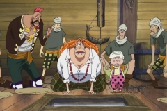 [Shiniori-Raws] One Piece 493 HD RAW (1280x720 x264 AC3) (2)