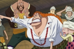 [Shiniori-Raws] One Piece 493 HD RAW (1280x720 x264 AC3) (2)