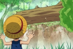 [Shiniori-Raws] One Piece 493 HD RAW (1280x720 x264 AC3) (2)