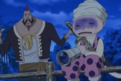 [Shiniori-Raws] One Piece 493 HD RAW (1280x720 x264 AC3) (1)