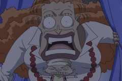 [Shiniori-Raws] One Piece 493 HD RAW (1280x720 x264 AC3) (1)