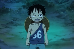 [Shiniori-Raws] One Piece 493 HD RAW (1280x720 x264 AC3) (1)