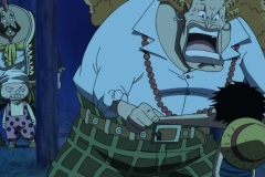 [Shiniori-Raws] One Piece 493 HD RAW (1280x720 x264 AC3) (1)