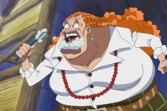 [Shiniori-Raws] One Piece 493 HD RAW (1280x720 x264 AC3) (1)