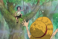 [Shiniori-Raws] One Piece 493 HD RAW (1280x720 x264 AC3) (2)