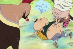 [Shiniori-Raws] One Piece 493 HD RAW (1280x720 x264 AC3) (2)