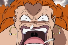 [Shiniori-Raws] One Piece 493 HD RAW (1280x720 x264 AC3) (1)