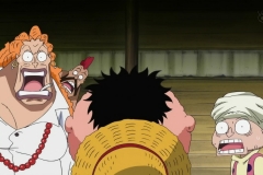 [Shiniori-Raws] One Piece 493 HD RAW (1280x720 x264 AC3) (1)