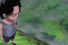 [Shiniori-Raws] One Piece 493 HD RAW (1280x720 x264 AC3) (1)