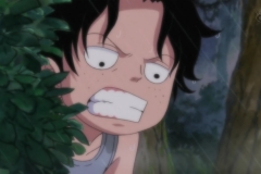 [Shiniori-Raws] One Piece 493 HD RAW (1280x720 x264 AC3) (1)