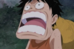 [Shiniori-Raws] One Piece 493 HD RAW (1280x720 x264 AC3) (1)