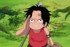 [Shiniori-Raws] One Piece 494 HD RAW (1280x720 x264 AAC) (1)