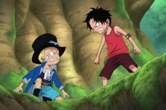 [Shiniori-Raws] One Piece 494 HD RAW (1280x720 x264 AAC) (2)