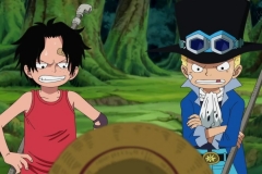 [Shiniori-Raws] One Piece 494 HD RAW (1280x720 x264 AAC) (2)