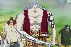 [Shiniori-Raws] One Piece 494 HD RAW (1280x720 x264 AAC) (2)