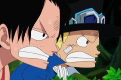 [Shiniori-Raws] One Piece 494 HD RAW (1280x720 x264 AAC) (2)