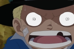 [Shiniori-Raws] One Piece 494 HD RAW (1280x720 x264 AAC) (1)