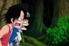 [Shiniori-Raws] One Piece 494 HD RAW (1280x720 x264 AAC) (1)