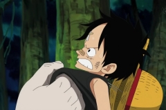 [Shiniori-Raws] One Piece 494 HD RAW (1280x720 x264 AAC) (1)