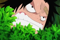 [Shiniori-Raws] One Piece 494 HD RAW (1280x720 x264 AAC) (1)