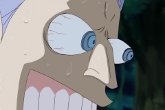 [Shiniori-Raws] One Piece 494 HD RAW (1280x720 x264 AAC) (1)