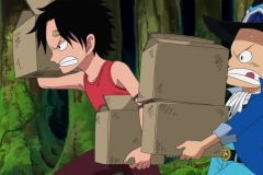 [Shiniori-Raws] One Piece 494 HD RAW (1280x720 x264 AAC) (2)