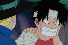 exiluz.com_One_Piece_495_(1280x720) (2)